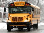 IC Bus CE School Bus 2008 года